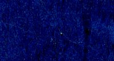 Шерсть для валяния ч/ш тонкая 100гр (0107 т.синий) Мастери Сама Пенза