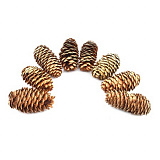 Шишки натур. 6-8см, шир.3-4см, 8шт/упак (натуральный) XY19-844 Мастери Сама Пенза