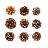 Шишки натур. 6-8см, шир.5-7см, 9шт/упак (серебро) XY19-838  Мастери Сама Пенза