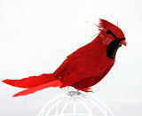 ДЭ Птички "Кардинал" , 12см*8,5см, 1 уп=2шт.(цв.красный) Мастери Сама Пенза