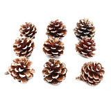 Шишки натур. 6-8см, шир.5-7см, 9шт/упак (белый) XY19-838  Мастери Сама Пенза