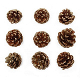 Шишки натур. 6-8см, шир.5-7см, 9шт/упак (золото) XY19-838  Мастери Сама Пенза